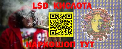 индика Славгород