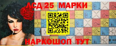 индика Славгород
