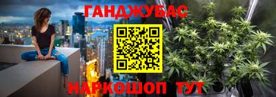 индика Славгород