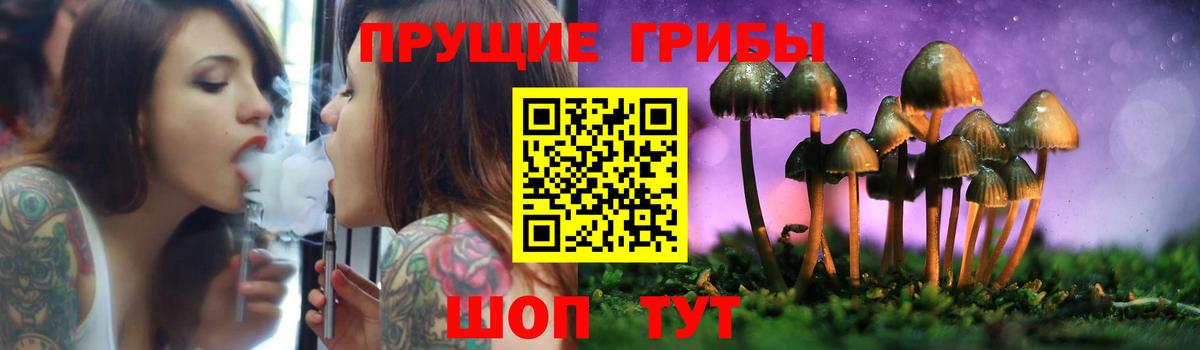 Псилоцибиновые грибы Psilocybe  Вход с VPN  Полевской 